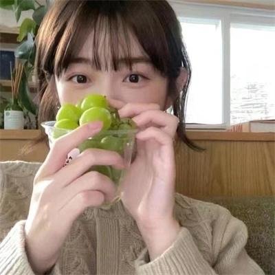 迷蝶